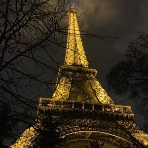 Meet your Posher, Bo